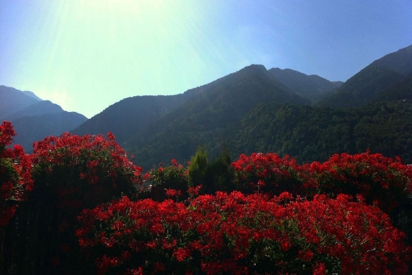 Hotel Pyrénées (Andorra la Vella)